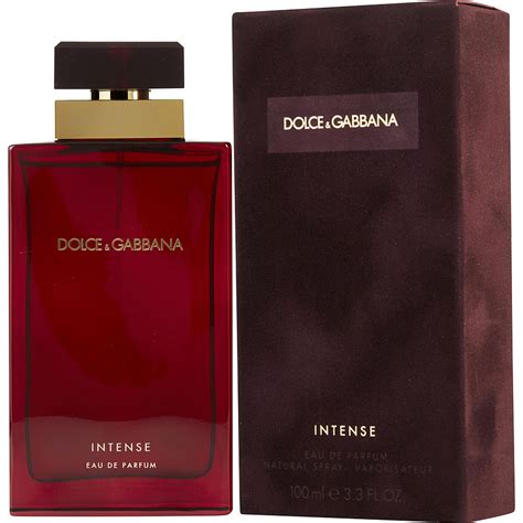 dolce and gabbana q intense